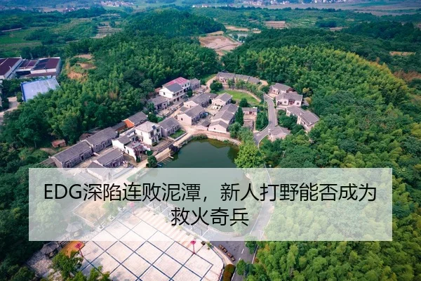 EDG深陷连败泥潭，新人打野能否成为救火奇兵