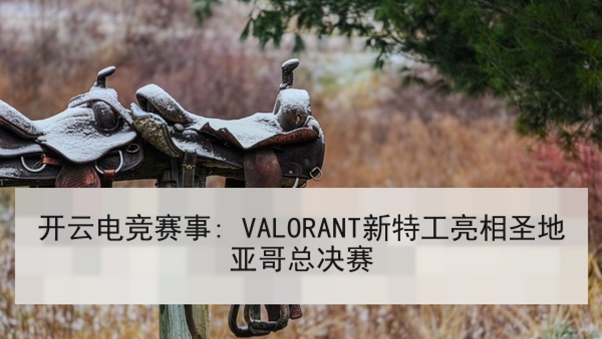 开云电竞赛事: VALORANT新特工亮相圣地亚哥总决赛