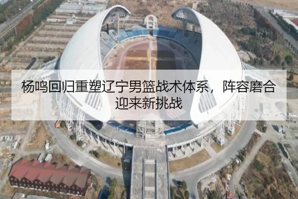 杨鸣回归重塑辽宁男篮战术体系，阵容磨合迎来新挑战