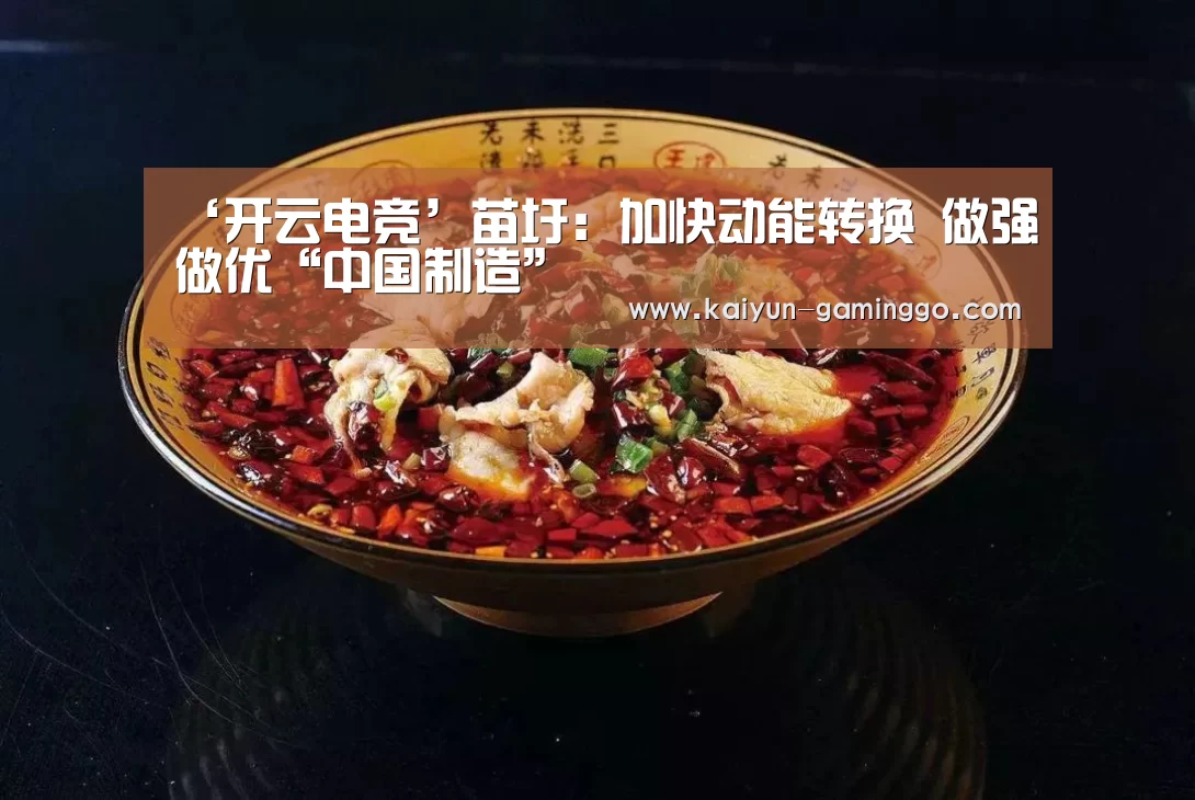‘开云电竞’苗圩:加快动能转换 做强做优“中国制造”(图1) 开云电竞