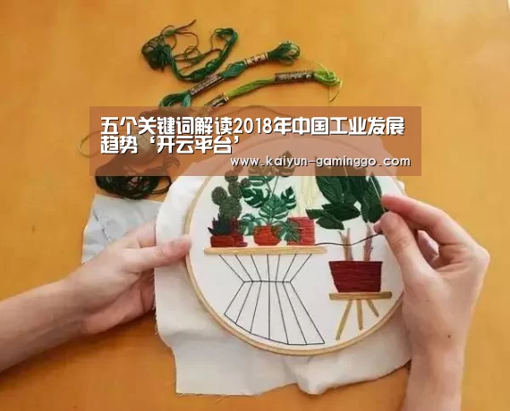 开云电竞