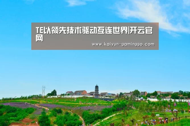 TE以领先技术驱动互连世界|开云官网(图2) 开云电竞