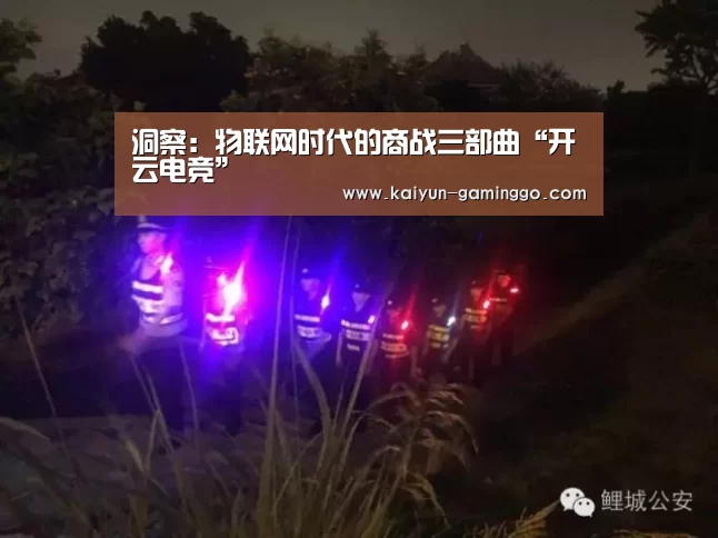 开云入口